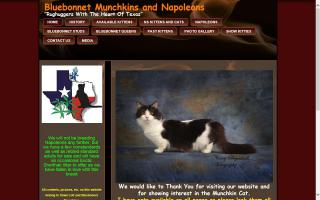 Bluebonnet Munchkins and Napoleons