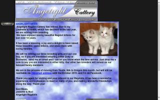 Angelight Ragdolls