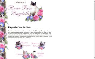 Brier Rose Ragdolls