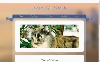 Moxiecat Cattery