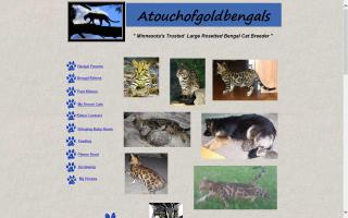 Atouchofgold Bengals