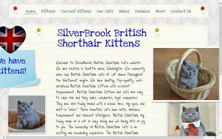 SilverBrook Cattery