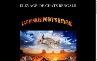Zabriskie Point's Bengal