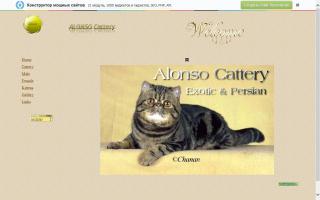 ALONSO Cattery