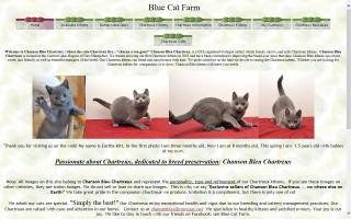 Chanson Bleu Chartreux