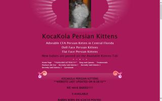 KocaKola Persian Kittens