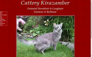 Cattery Kirazamber