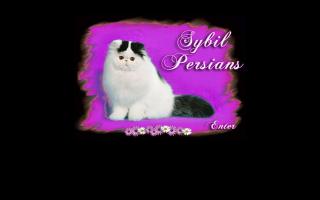 Sybil Persians