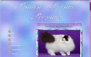 Shaded Dream Persians