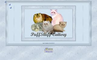 PuffStuff Cattery