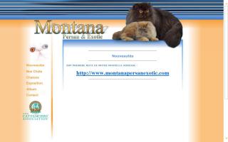 Montana Cattery