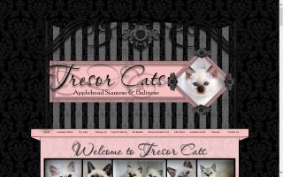 Tresor Cats