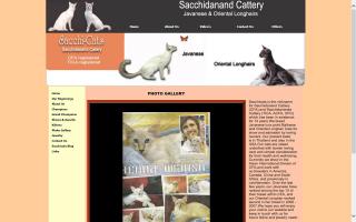 Sacchi-Cats / Sacchidanand Cattery