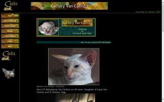 Cattery Van Callisto