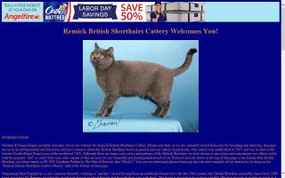 Remick British Shorthairs Cattery