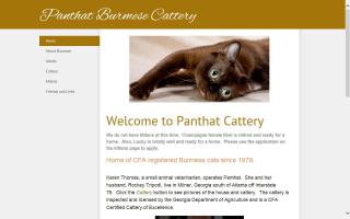 Panthat Cattery