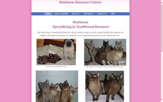 Starburm Burmese Cattery