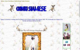 Chinki Siamese