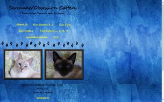 Serenade/Obsession Cattery