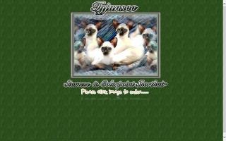 Tyjunsee Siamese & Colorpoint Shorthair