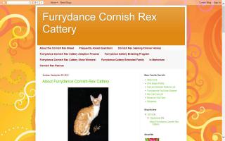 FurryDance Cattery