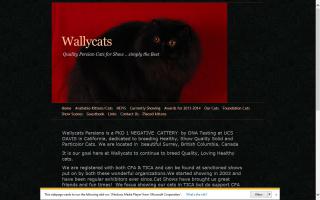 Wallycats Persians