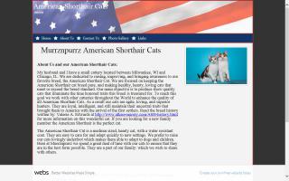 Murrznpurrz American Shorthairs