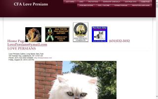 LOVE Persians