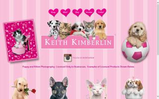 Keith Kimberlin / Kitzn Cattery