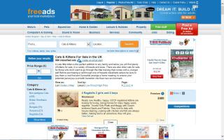 Freeads Cats For Sale