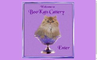 BooKats Cattery