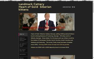 Landmark Kitten Creations