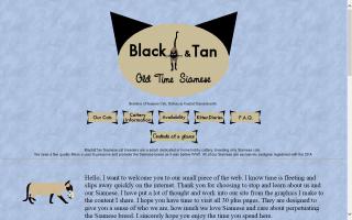 Black&Tan Old Time Siamese