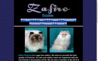 Zafiro Persians and Himalayans