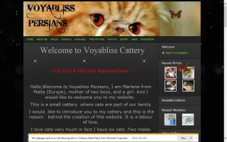 Voyabliss Cattery