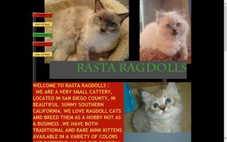 Rasta Ragdolls