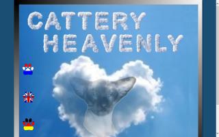 Cattery Heavenly