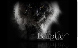 Ecliptic Maine Coons