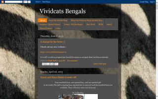Vividcats Bengals