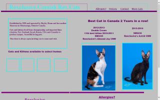 Rexclusive Cornish Rex