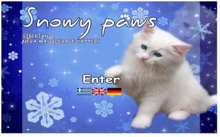 Snowy Paws