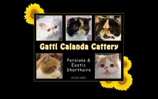 Gatti Calanda