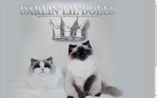 Darlin'lil'Dolls Ragdoll Cattery