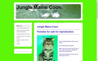 Jungle Maine Coon