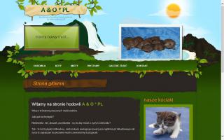 A&O*PL British Shorthair Cattery