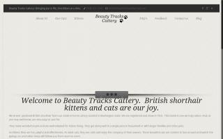 Beauty Tracks Cattery