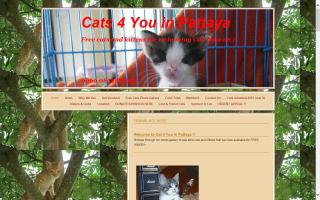 Cats 4 You in Pattaya