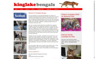 Kinglake Bengals