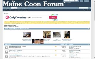 Maine Coon Cat Forum
