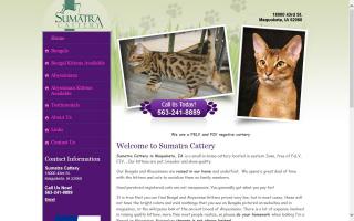 Sumatra Cattery